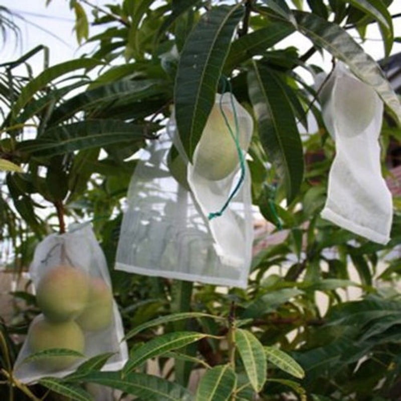 50Pcs/Set Garden Plant Fruit Protect Drawstring Mesh Net Bag Anti-Bird Netting 50Pcs/Set Garden Plant Fruit Protect Drawstring Mesh Net Bag Anti-Bird Netting